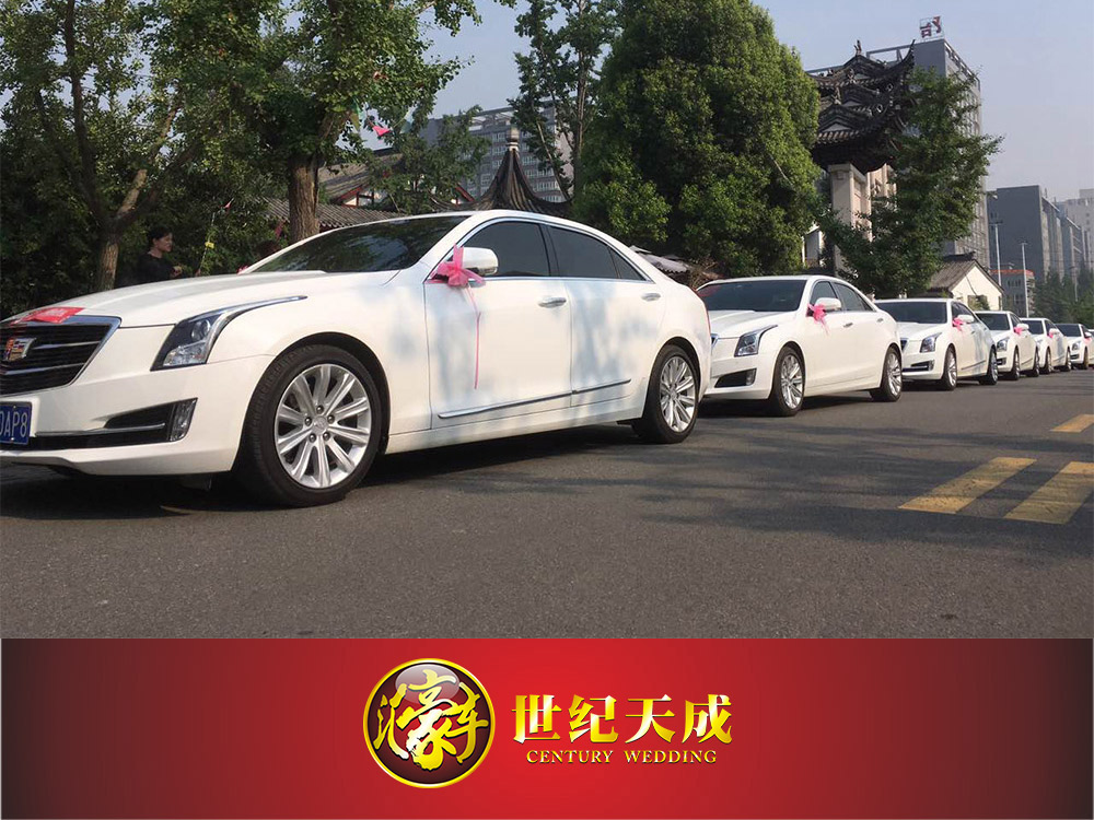 成都婚博会婚车租赁