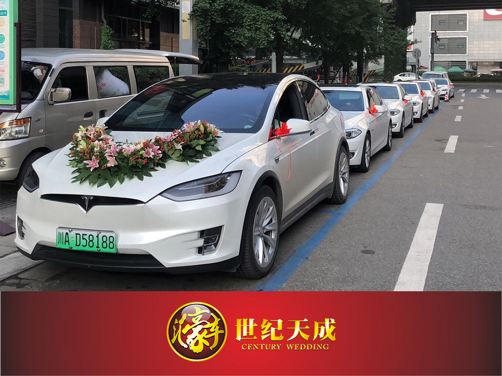 特斯拉婚车出租