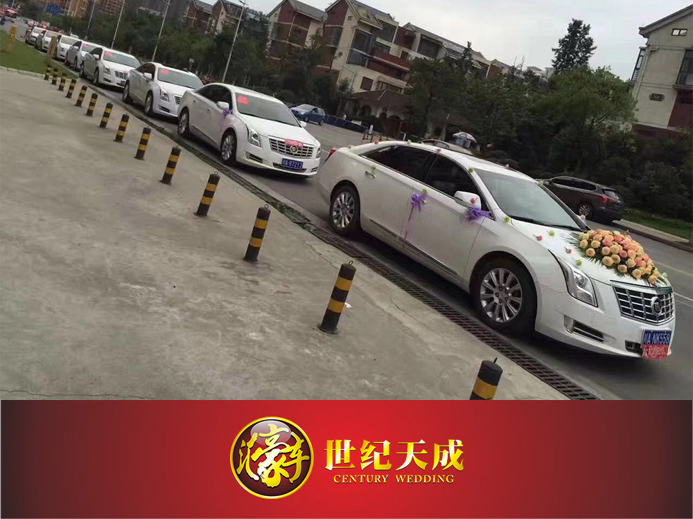 成都婚庆租车