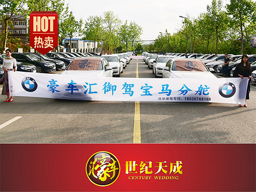 宝马婚车 婚礼婚车 婚庆车队