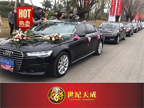 大众帕萨特婚车