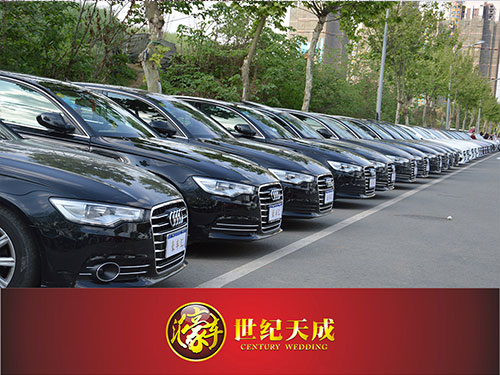 奥迪商务用车 会议接待用车