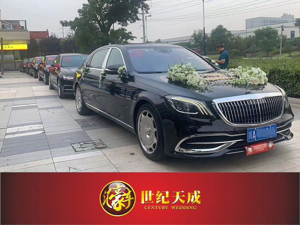 迈巴赫出租 婚礼车队